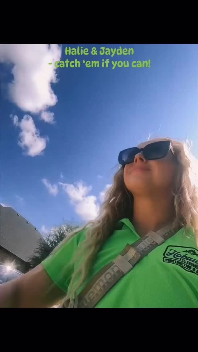 Recent roofing project