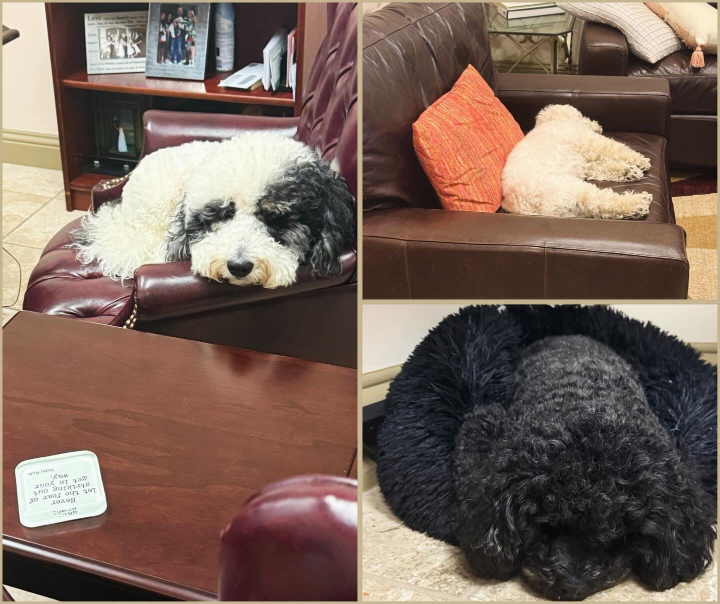 Recent roofing project